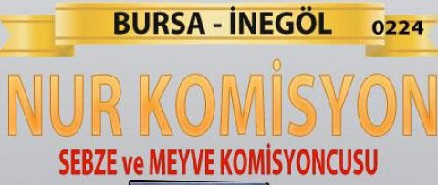 Nur Komisyon